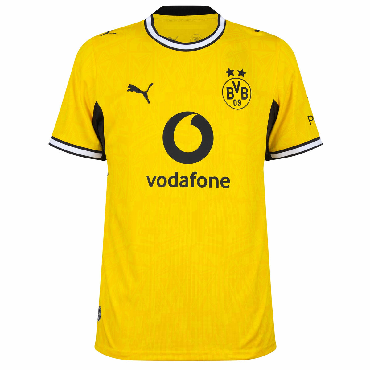 Borussia Dortmund Home Fan Jersey 2026-2027